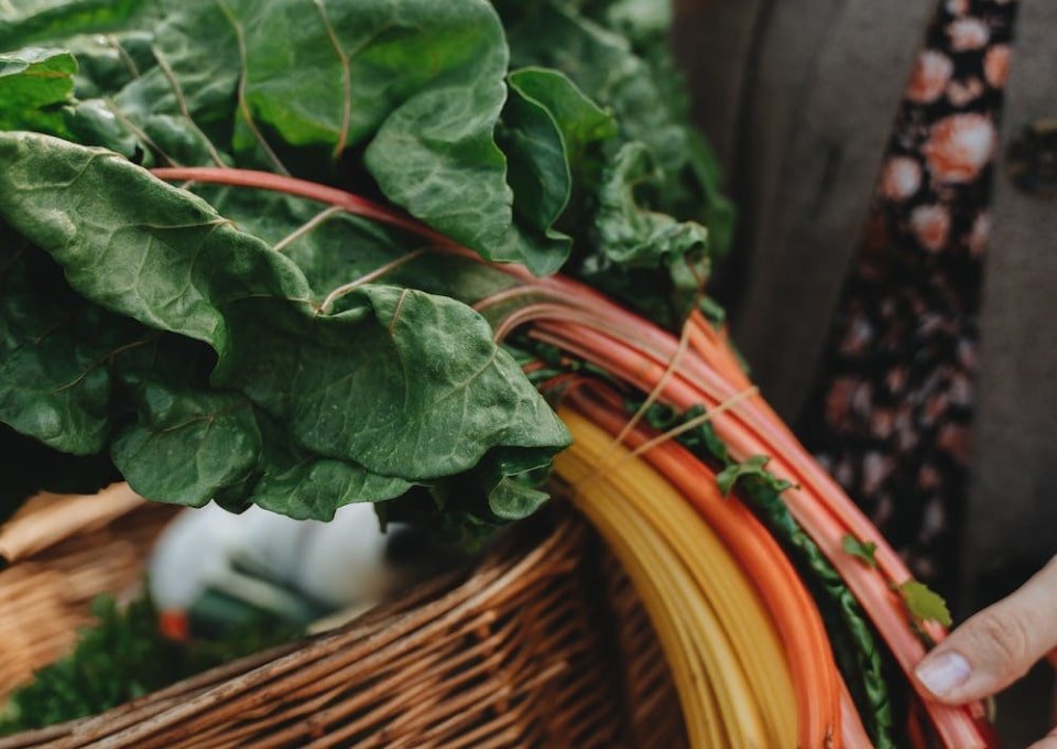 About Us 22 vg-gallery-5-opt