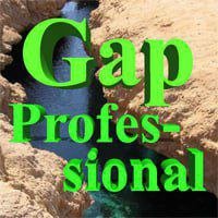 EA's Review's 319 Gap Professional v1.4 +Presets MT4 EA (+1430)
