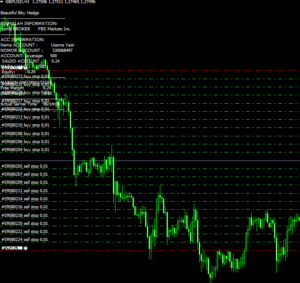 EA's Review's 316 Bismillah Hedge EA MT4 | Source Code